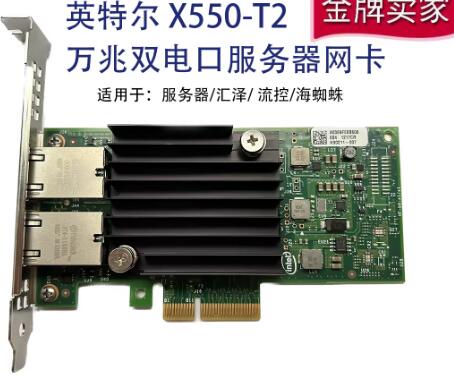 Gigabit Network Card - Intel X550-T2 10G dual port 10